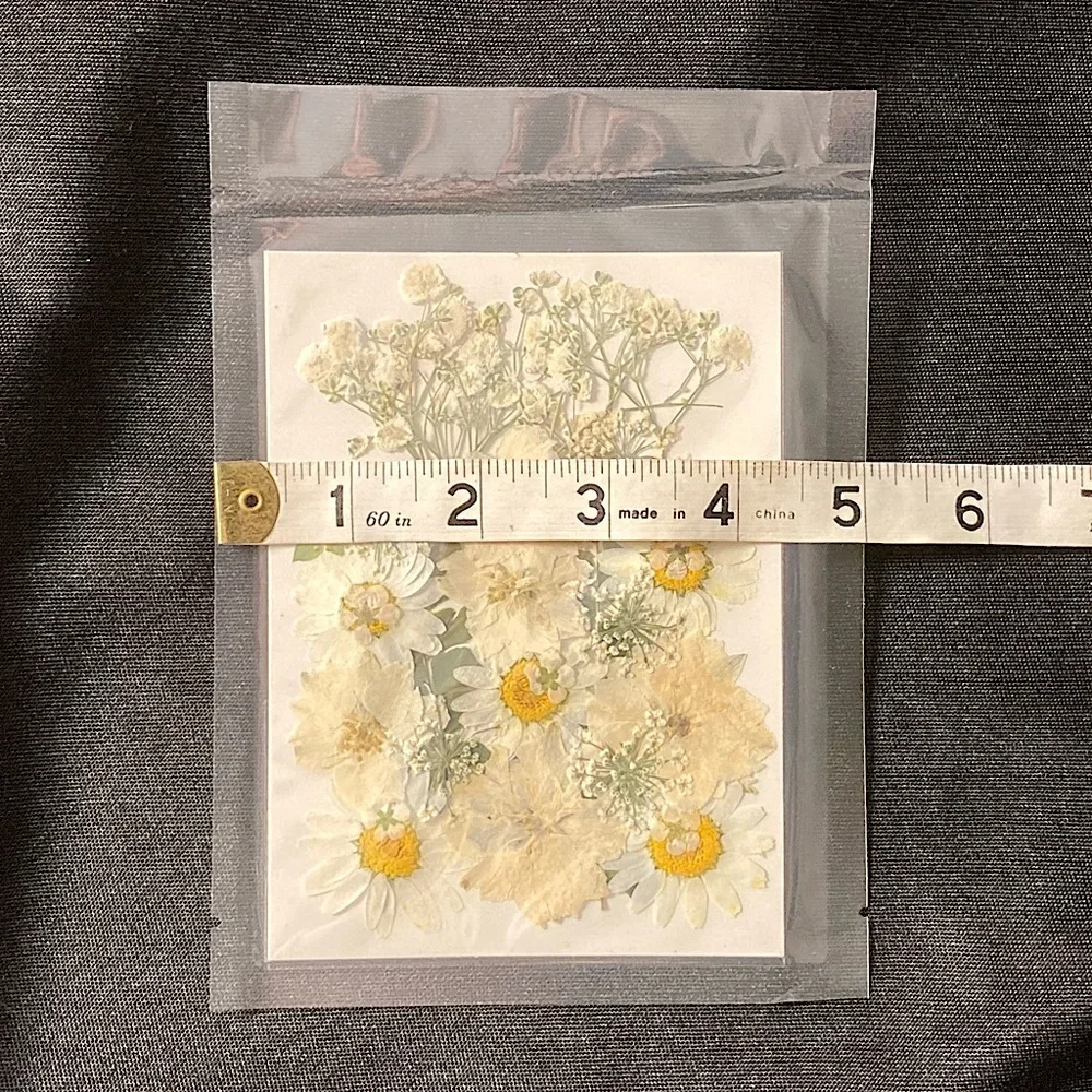 ⭐️ Pressed Flowers Bulk White Dried Flowers Two Pack For Crafting